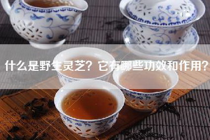 什么是野生灵芝？它有哪些功效和作用？