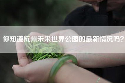 你知道杭州未来世界公园的最新情况吗？