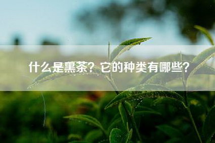 什么是黑茶？它的种类有哪些？