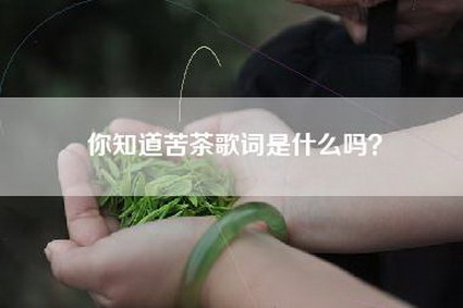 你知道苦茶歌词是什么吗？