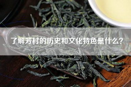 了解芳村的历史和文化特色是什么？