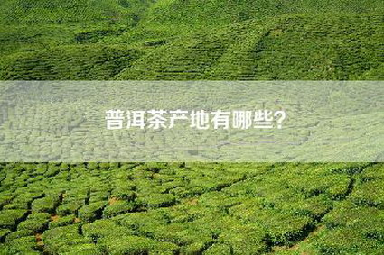 普洱茶产地有哪些？