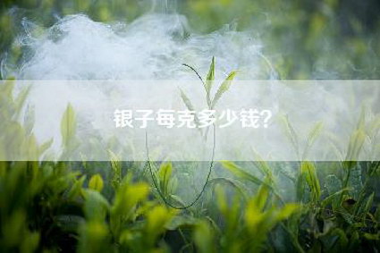 银子每克多少钱？