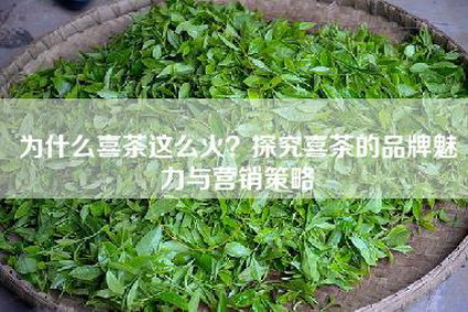 为什么喜茶这么火？探究喜茶的品牌魅力与营销策略