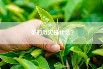 茶的历史是什么？