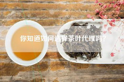 你知道如何选择茶叶代理吗？