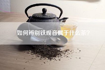 如何辨别铁观音属于什么茶？