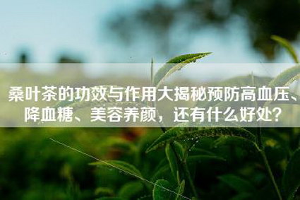 桑叶茶的功效与作用大揭秘预防高血压、降血糖、美容养颜，还有什么好处？