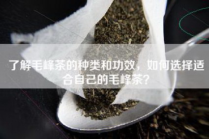 了解毛峰茶的种类和功效，如何选择适合自己的毛峰茶？