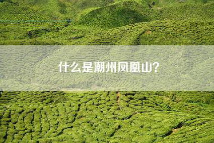 什么是潮州凤凰山？