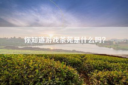 你知道游戏茶苑是什么吗？