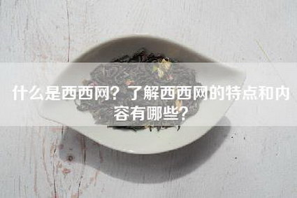 什么是西西网？了解西西网的特点和内容有哪些？