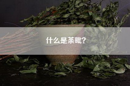 什么是荼毗？