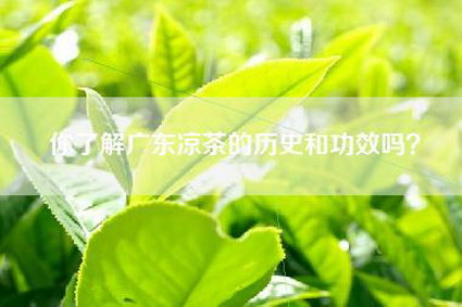 你了解广东凉茶的历史和功效吗？