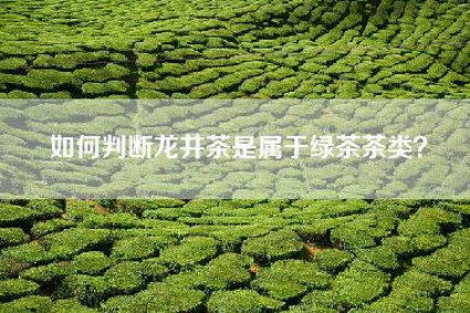如何判断龙井茶是属于绿茶茶类？