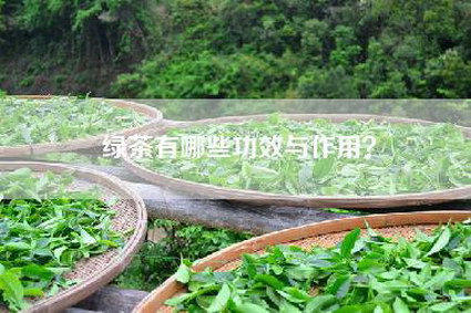 绿茶有哪些功效与作用？