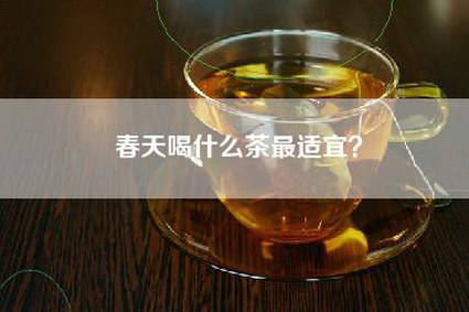 春天喝什么茶最适宜？