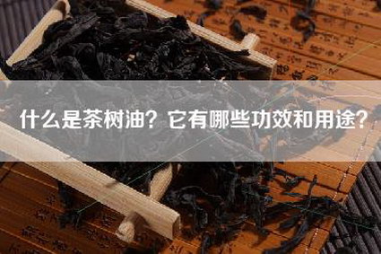 什么是茶树油？它有哪些功效和用途？