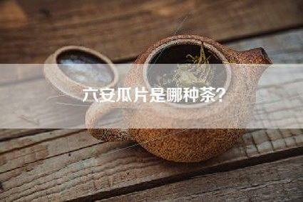 六安瓜片是哪种茶？