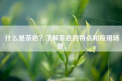 什么是茶色？了解茶色的特点和应用场景。