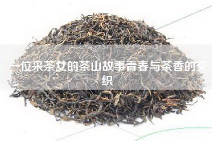 一位采茶女的茶山故事青春与茶香的交织