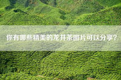 你有哪些精美的龙井茶图片可以分享？