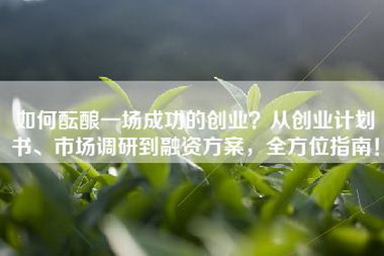 如何酝酿一场成功的创业？从创业计划书、市场调研到融资方案，全方位指南！