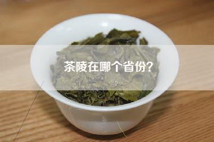 茶陵在哪个省份？