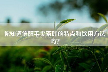 你知道信阳毛尖茶叶的特点和饮用方法吗？