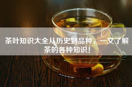 茶叶知识大全从历史到品种，一文了解茶的各种知识！