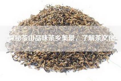 探秘茶山品味茶乡美景，了解茶文化