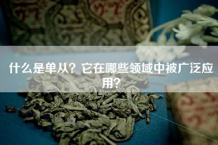 什么是单从？它在哪些领域中被广泛应用？