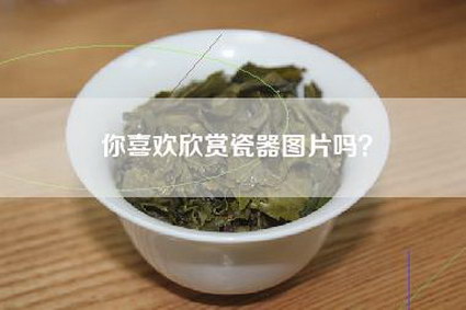 你喜欢欣赏瓷器图片吗？