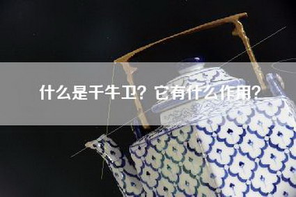 什么是千牛卫？它有什么作用？