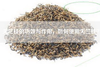 天竺桂的功效与作用，如何使用天竺桂？