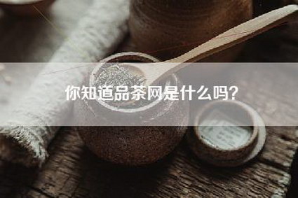 你知道品茶网是什么吗？