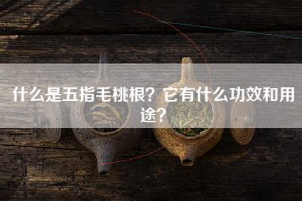 什么是五指毛桃根？它有什么功效和用途？