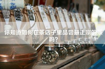 你知道如何在茶店子里品尝最正宗的茶吗？