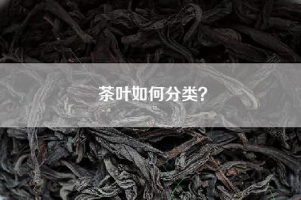 茶叶如何分类？