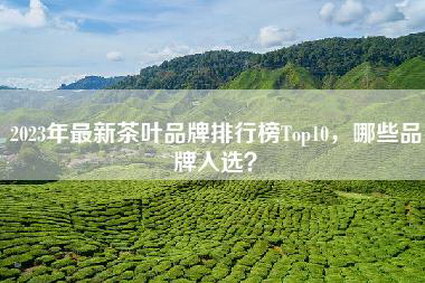 2023年最新茶叶品牌排行榜Top10，哪些品牌入选？