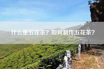 什么是五花茶？如何制作五花茶？