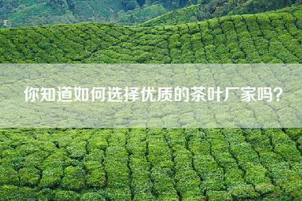 你知道如何选择优质的茶叶厂家吗？