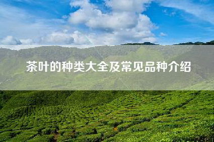 茶叶的种类大全及常见品种介绍