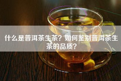什么是普洱茶生茶？如何鉴别普洱茶生茶的品质？