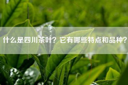 什么是四川茶叶？它有哪些特点和品种？