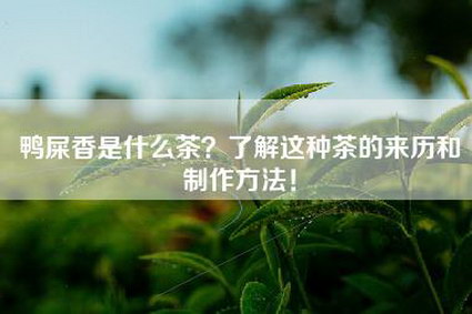 鸭屎香是什么茶？了解这种茶的来历和制作方法！