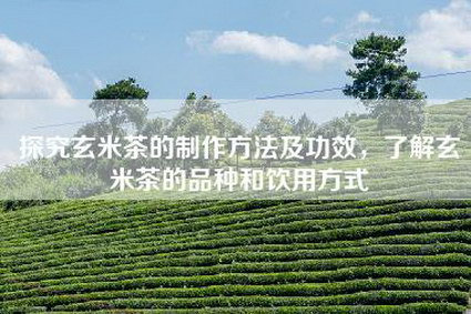 探究玄米茶的制作方法及功效，了解玄米茶的品种和饮用方式
