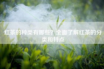 红茶的种类有哪些？全面了解红茶的分类和特点