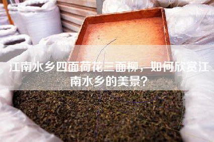 江南水乡四面荷花三面柳，如何欣赏江南水乡的美景？