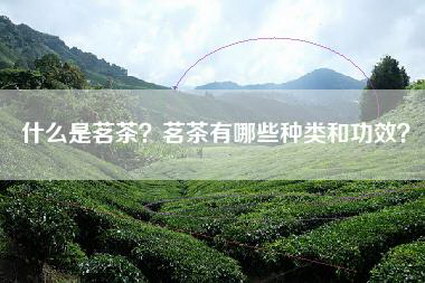 什么是茗茶？茗茶有哪些种类和功效？